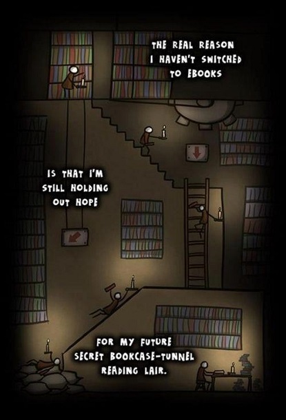 bookcase tunnel reading lair